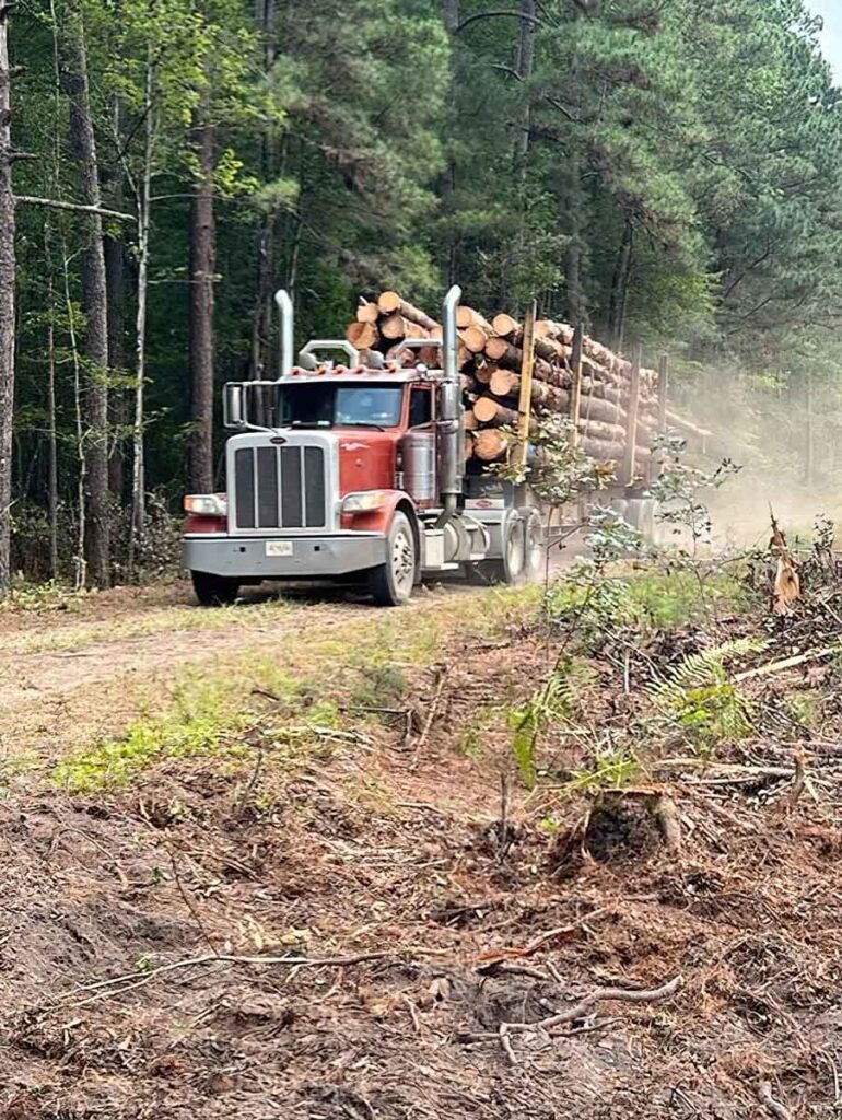 logging-truck-hauling-wood-sundher-timber-group