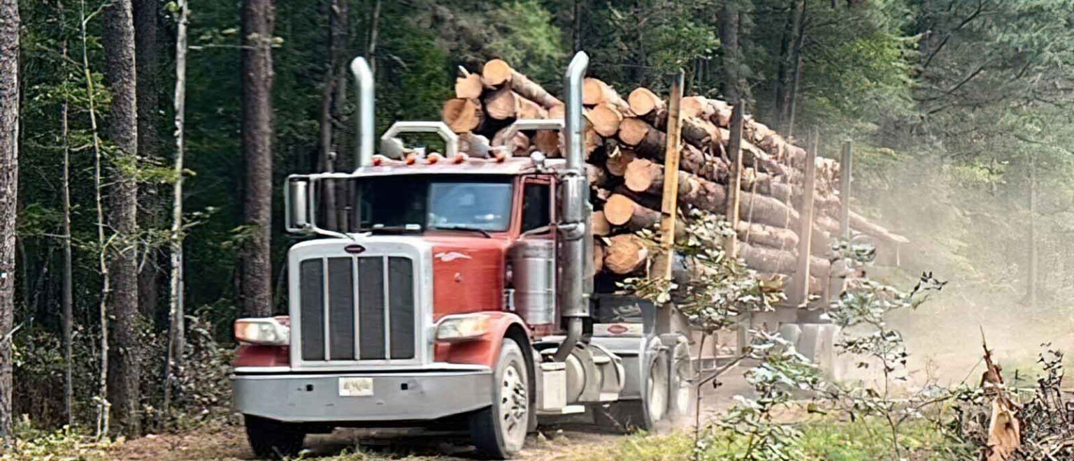 International Lumber Export – Sundher Group Timber and Wood Products Canada