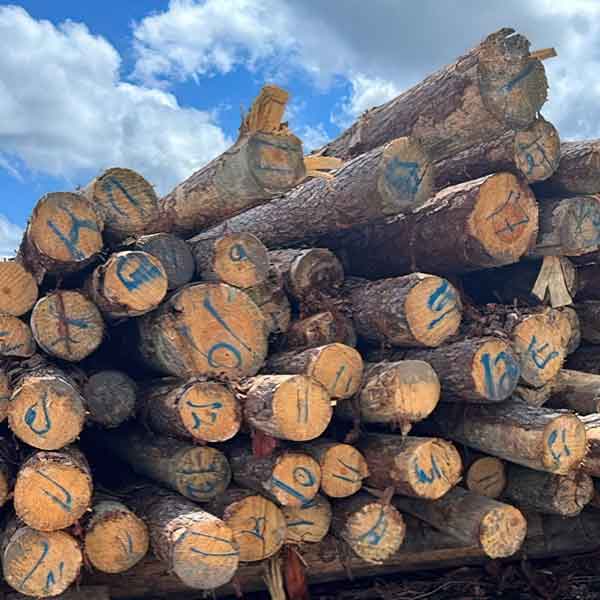 raw-logs-to-be-processed-for-export-to-India